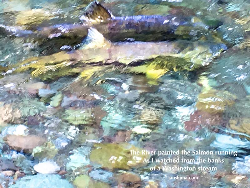 Salmon Running