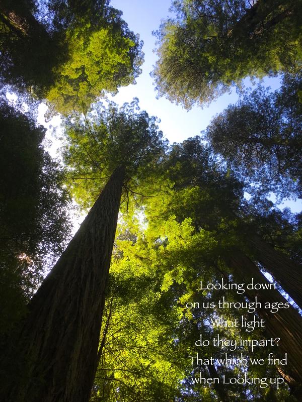 LookingDown LookingUp